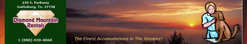 Diamond Mountain Rentals - The Finest Accommodations In The Smokies!